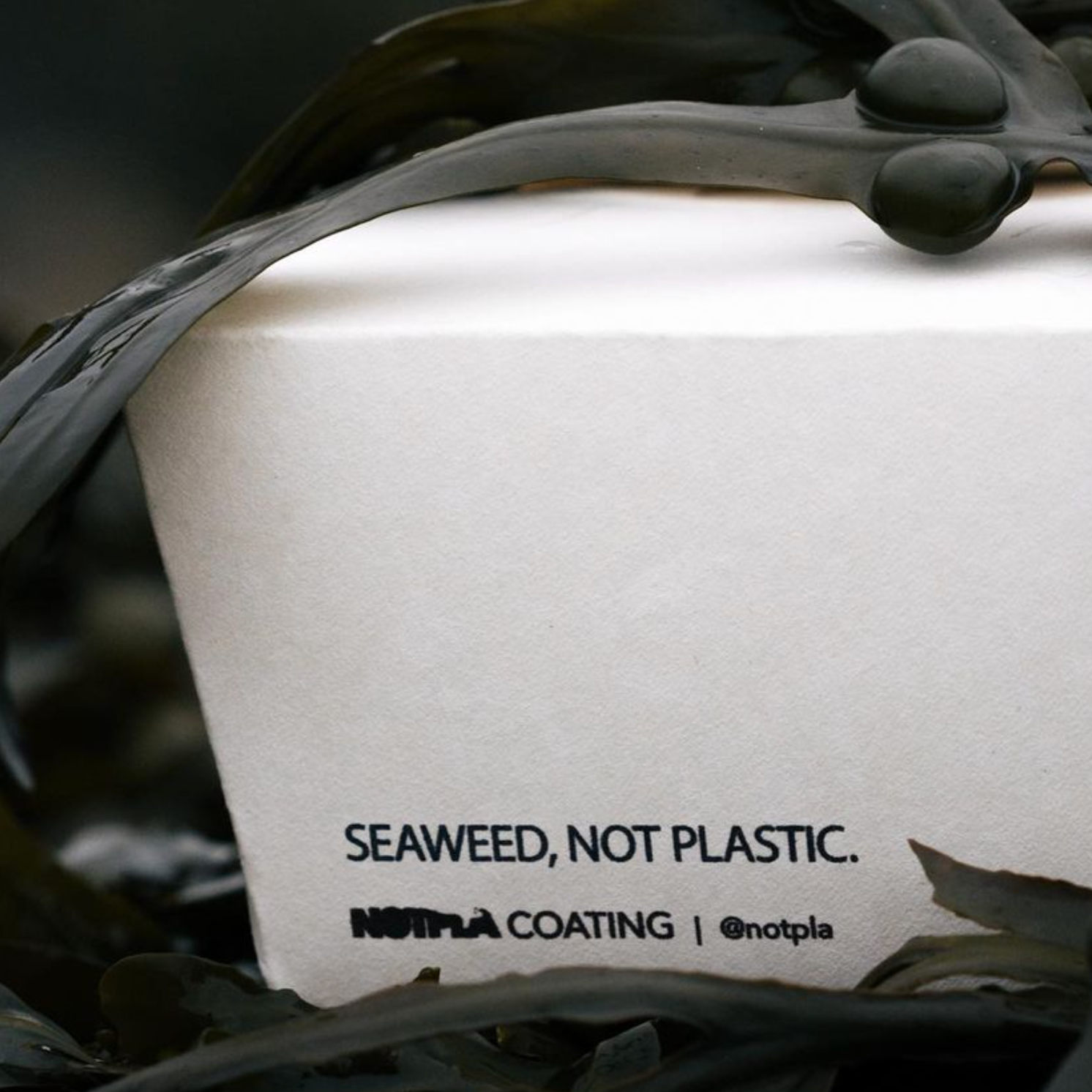 Notpla is het eerste en enige single-use verpakkingsmateriaal dat écht plasticvrij is
