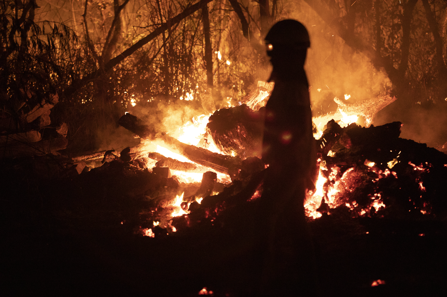 Jacht op de vlammen. De brandende ecosystemen van Brazilië