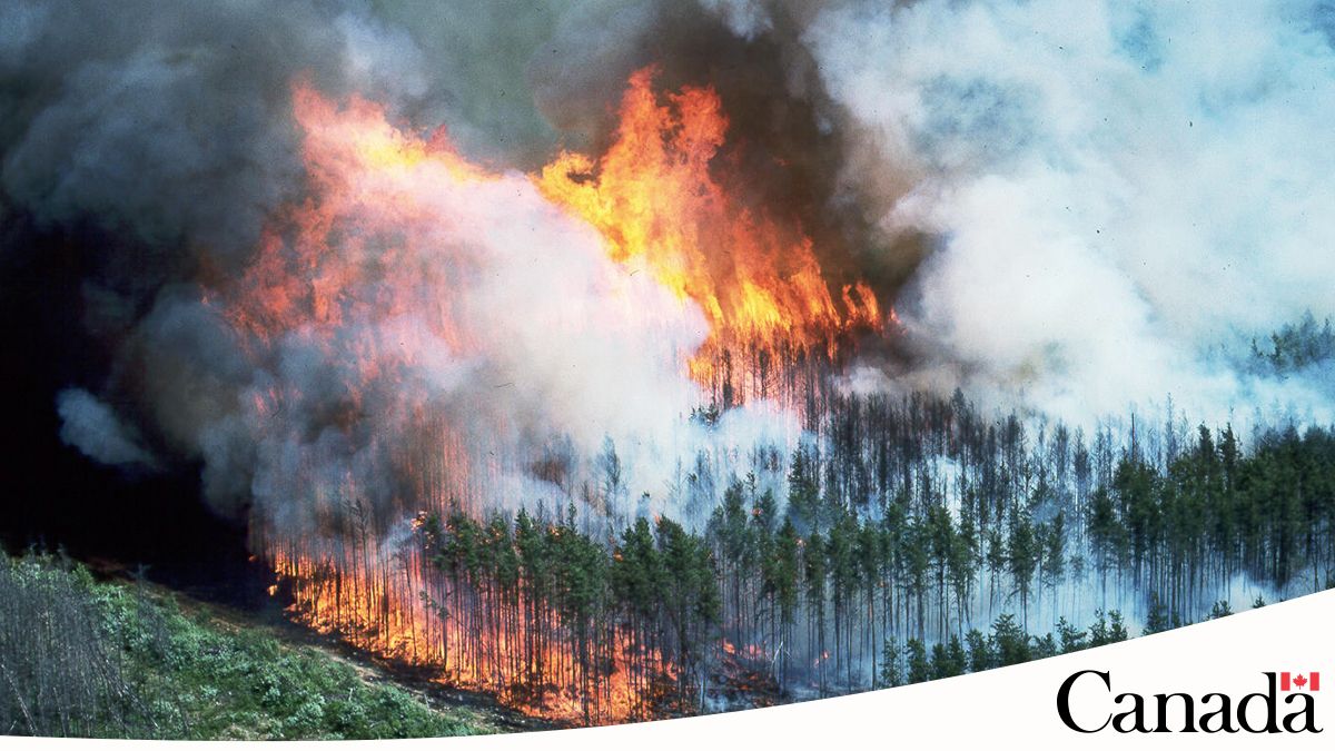 Canadese bosbranden hebben vorige uitstootrecord nu al verdubbeld