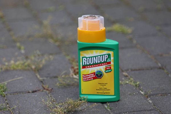 Waarom Roundup al jaren moest verboden zijn