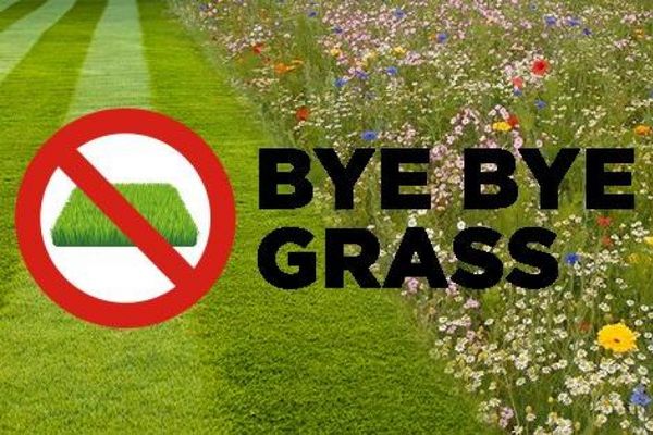Welcome to the ByeByeGrass generation