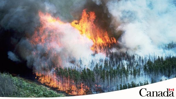 Canadese bosbranden hebben vorige uitstootrecord nu al verdubbeld