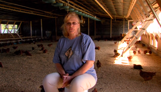 Carole_Chickenfarm