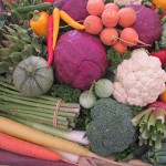Biologisch voedsel niet gezonder?