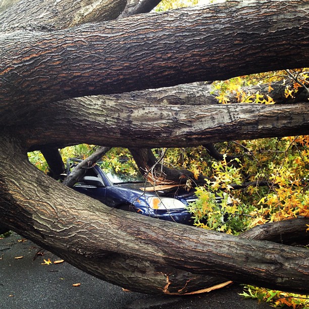 20121030_sandygram