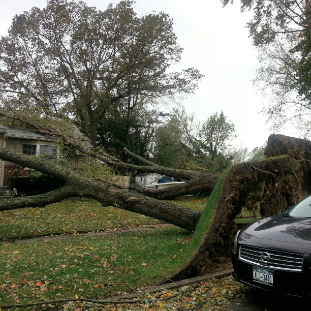 20121030_sandygram