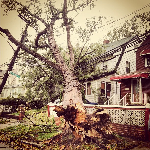 20121030_sandygram