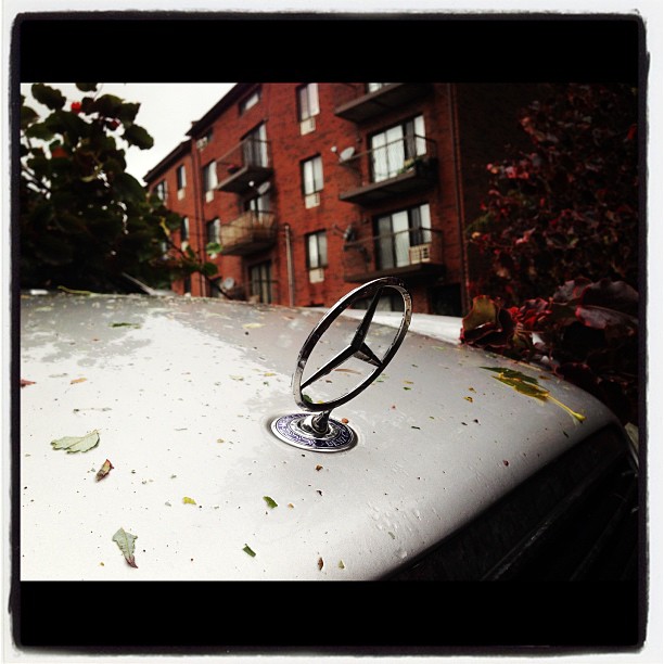 20121030_sandygram