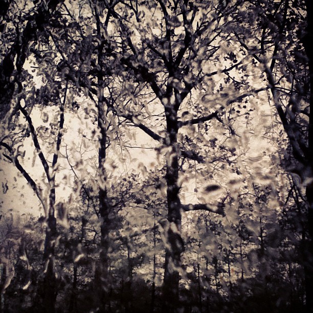 20121030_sandygram
