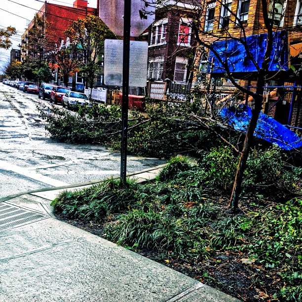 20121030_sandygram