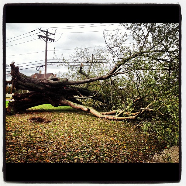 20121030_sandygram