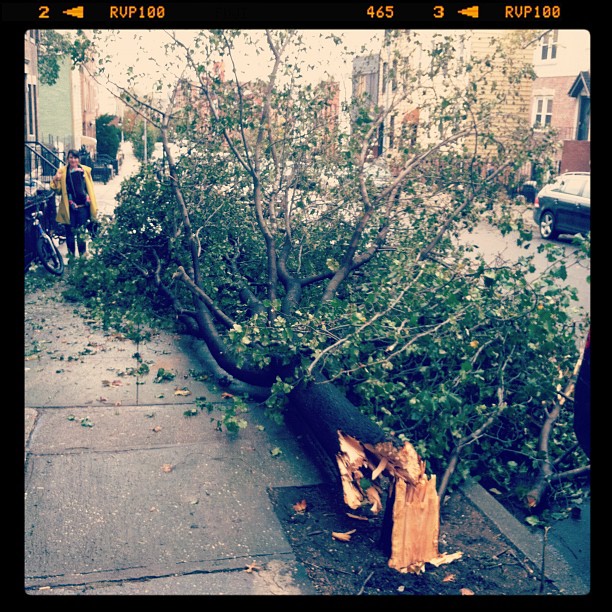 20121030_sandygram