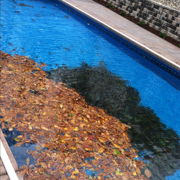 20121030_sandygram
