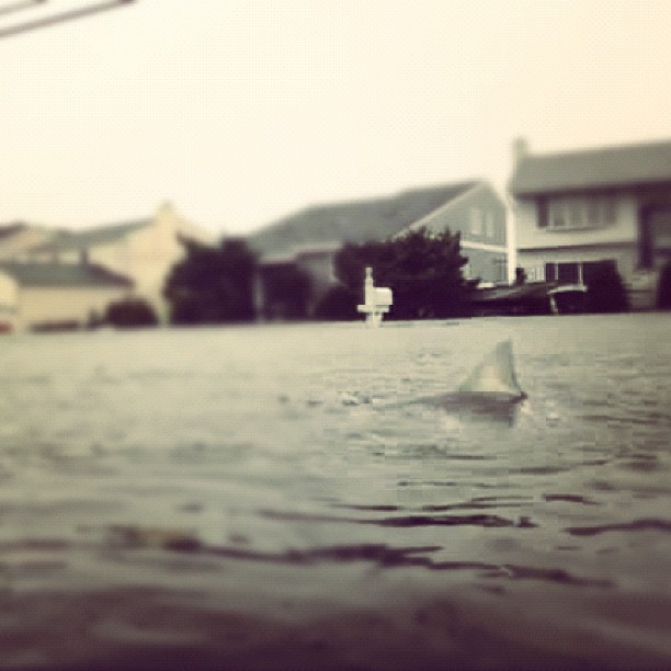 20121031_sandygram