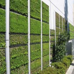 Verticaal gazon koelt de stad