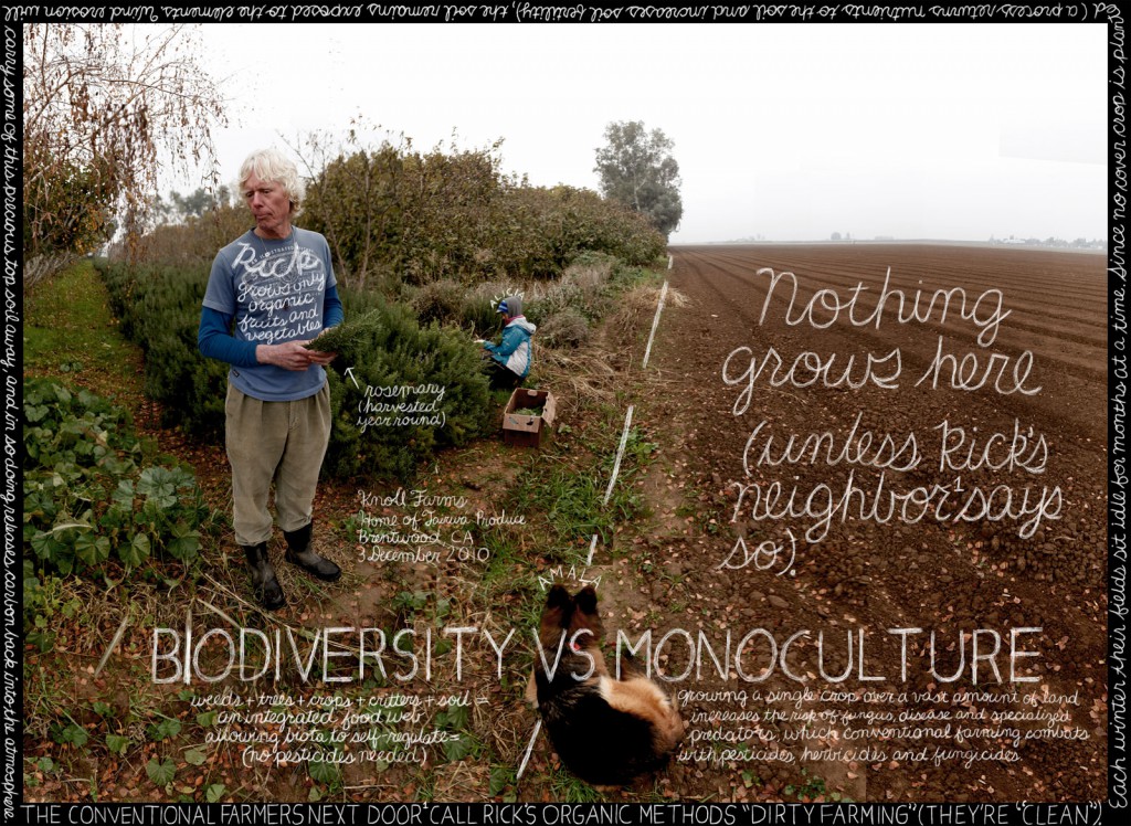 biodiversityvsmono