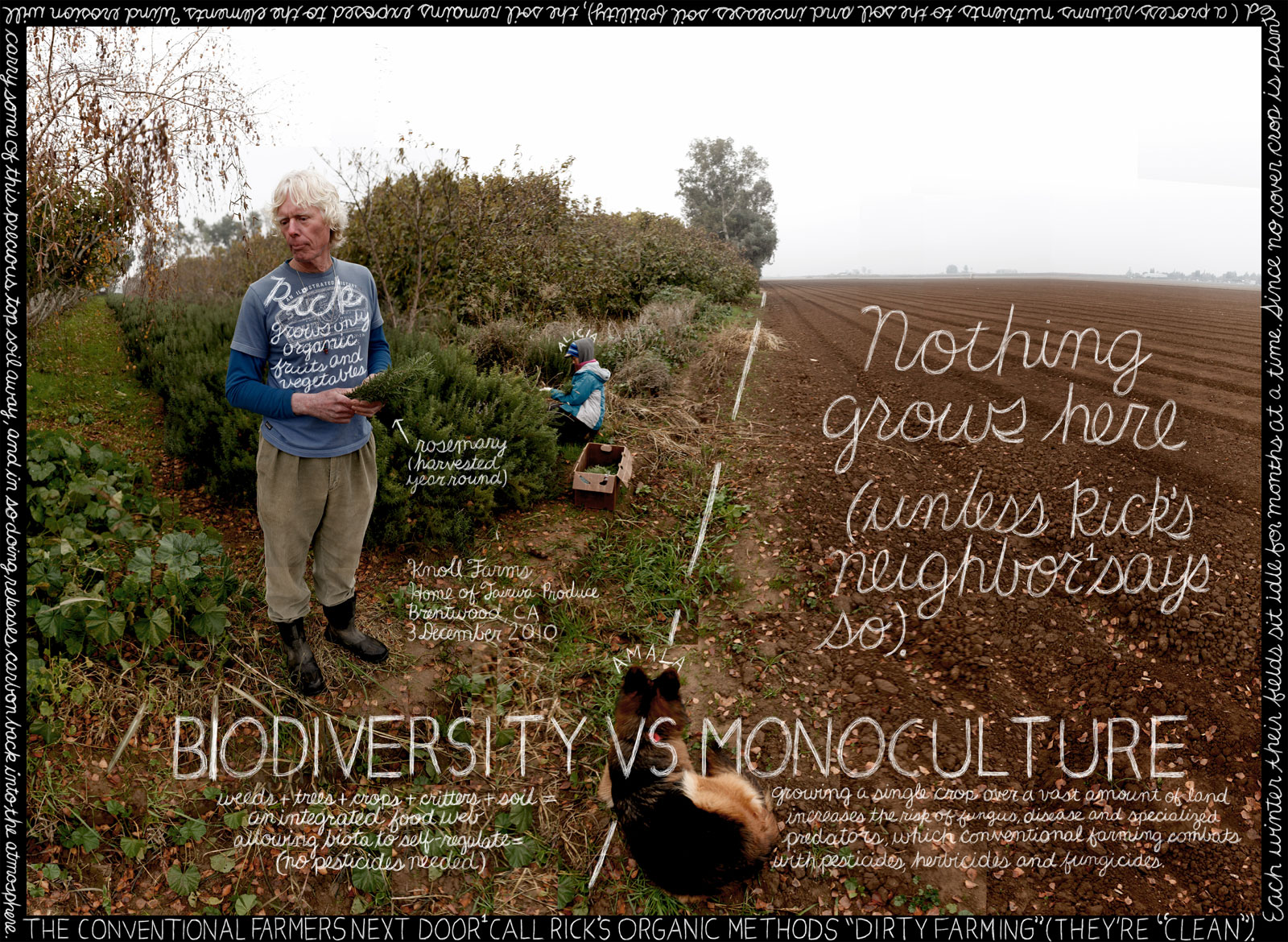 biodiversityvsmono