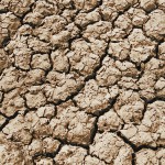 Watertekorten bedreigen voedselproductie