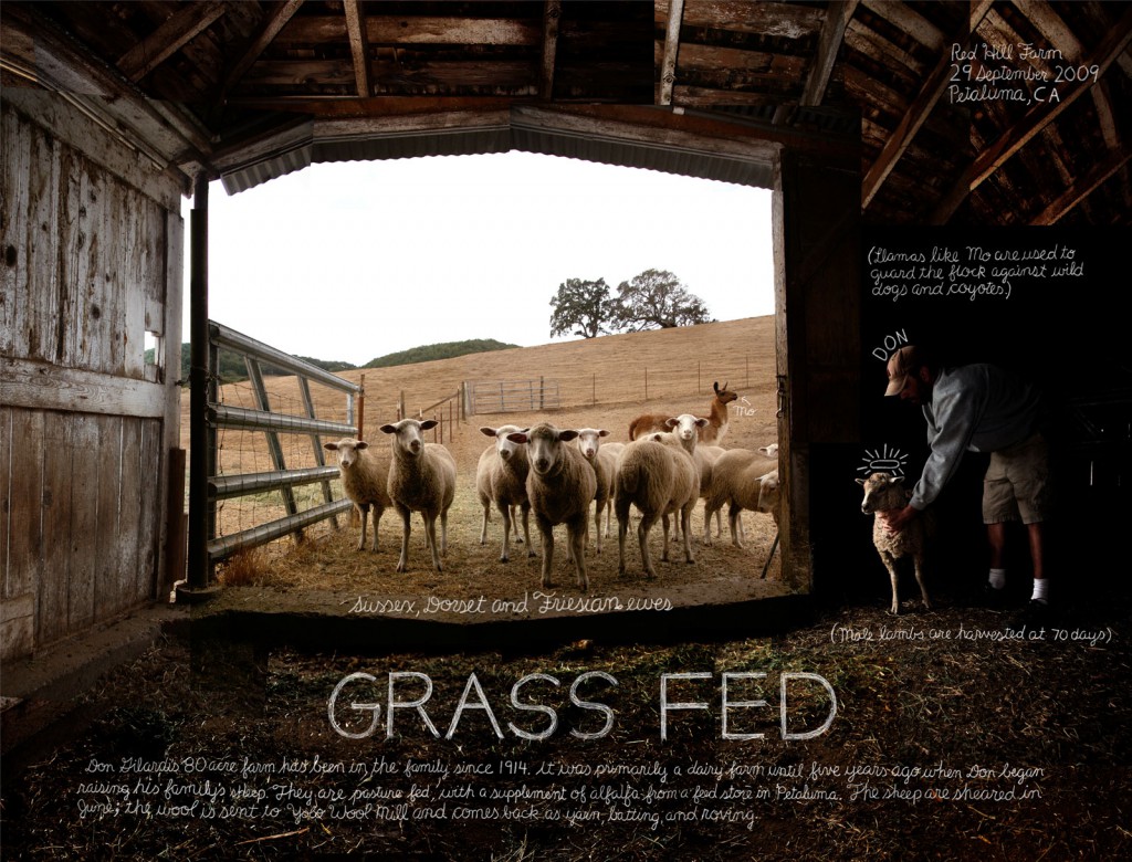 grassfed