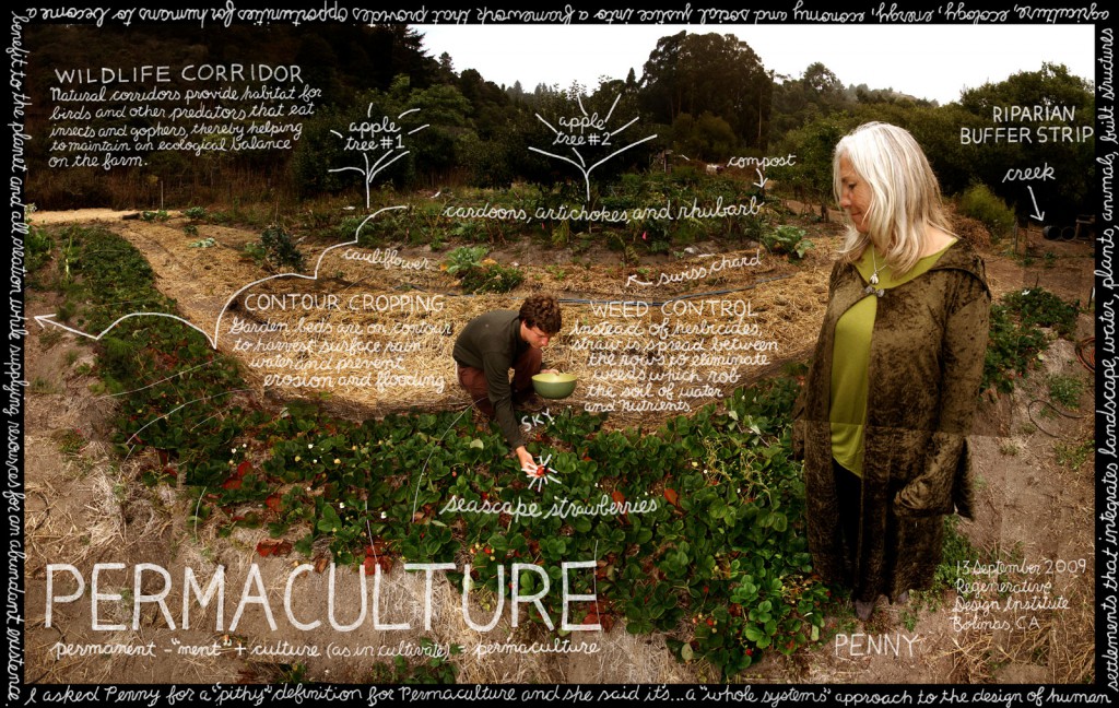 permaculture
