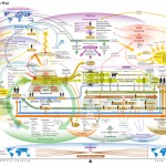 Systeemmap legt fundament voor complexe samenwerking 
