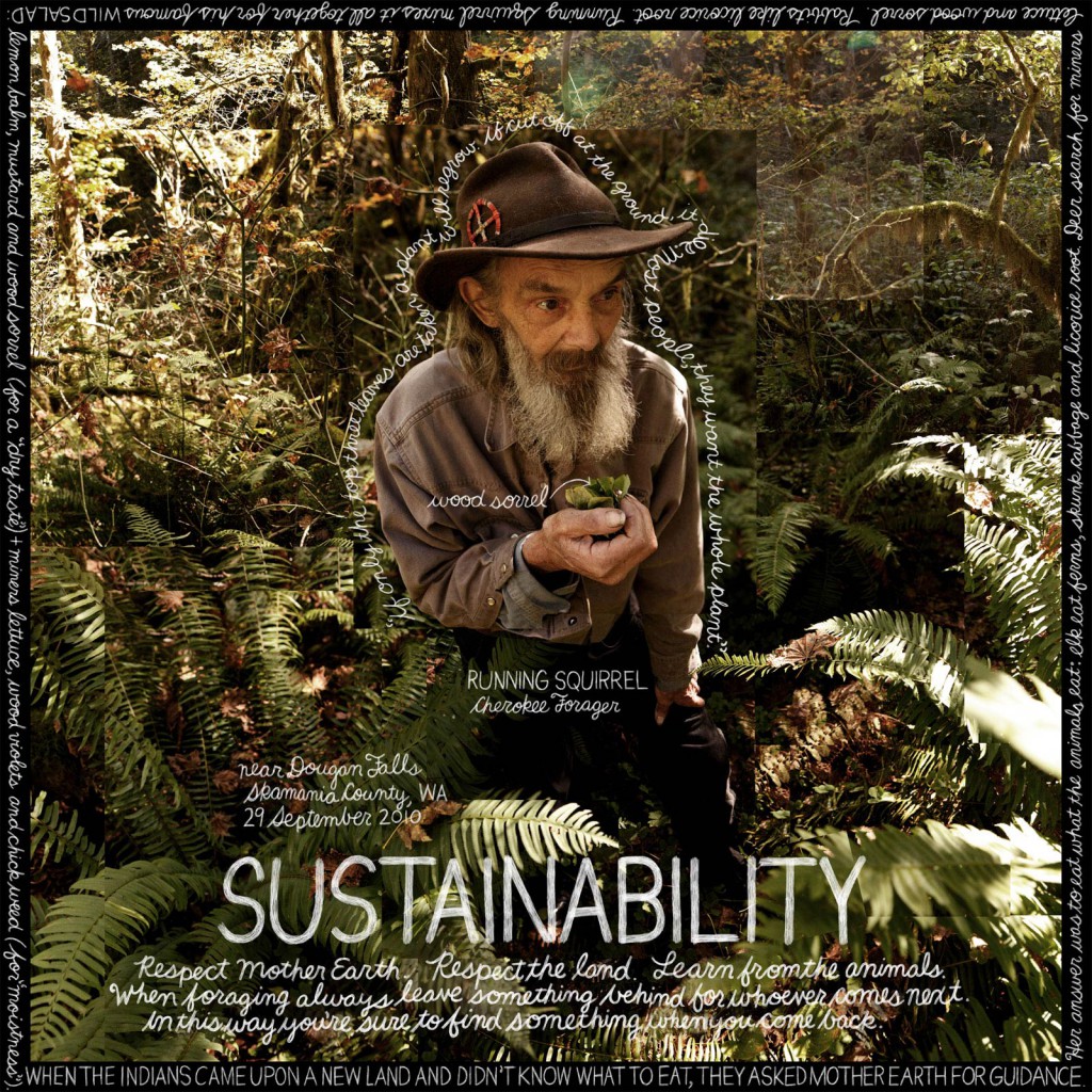sustainability