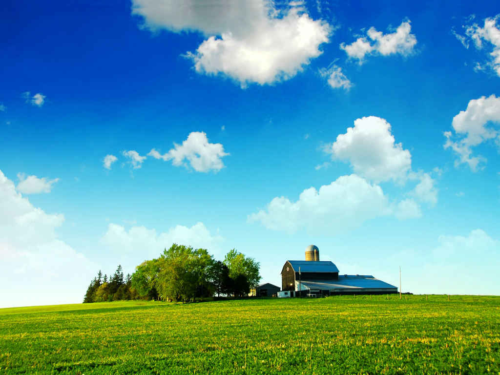 Farmland+Blue+Skies+Bliss_long+goodbye+blog[1]