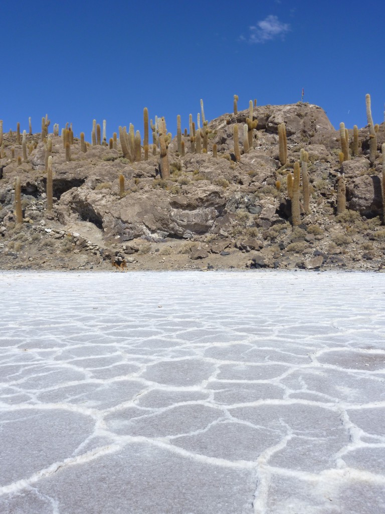 salar lithium