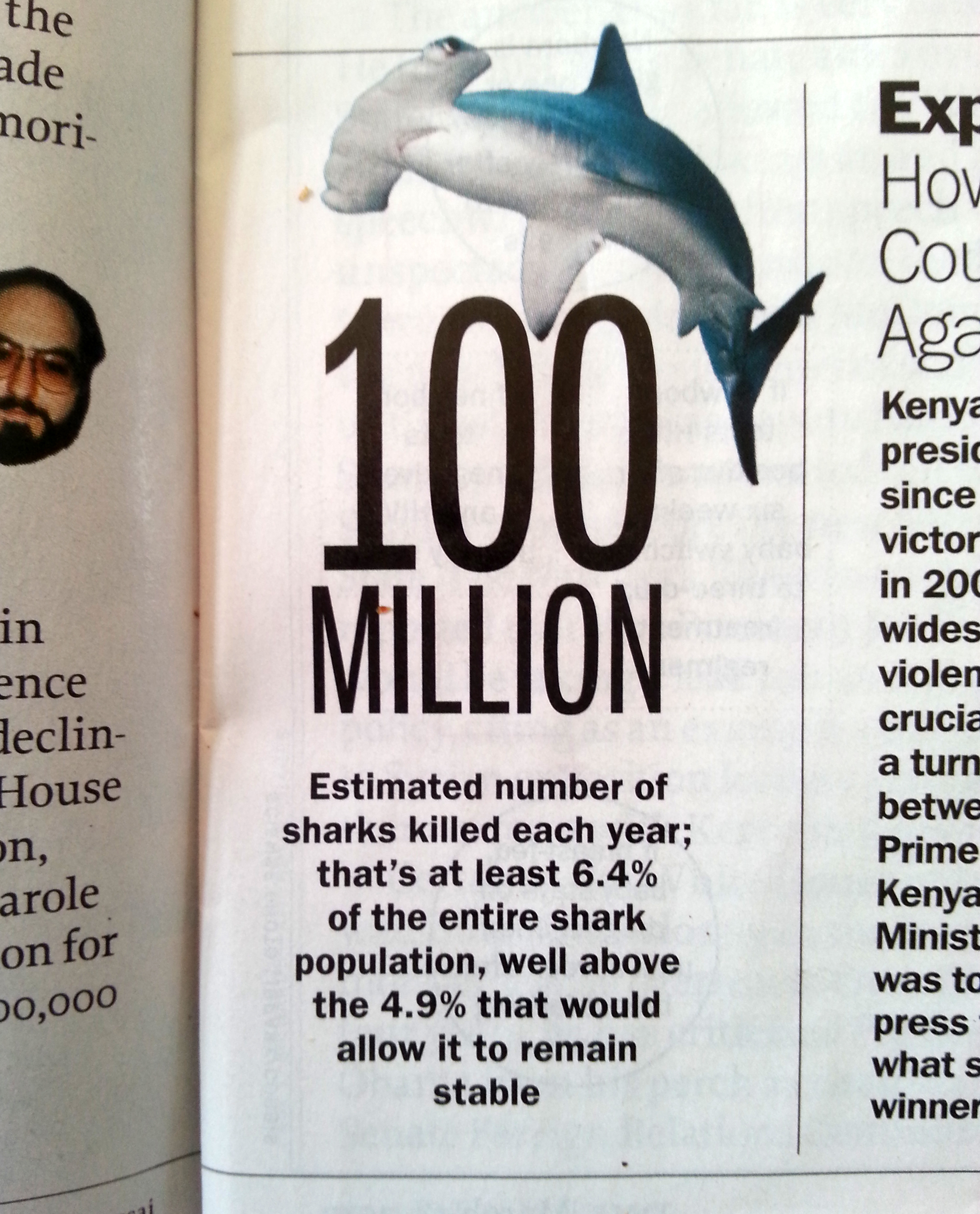 Time Shark