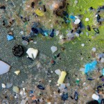 Plastic confetti in oceanen