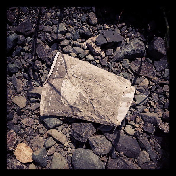 litterati-01