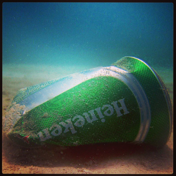 litterati-03