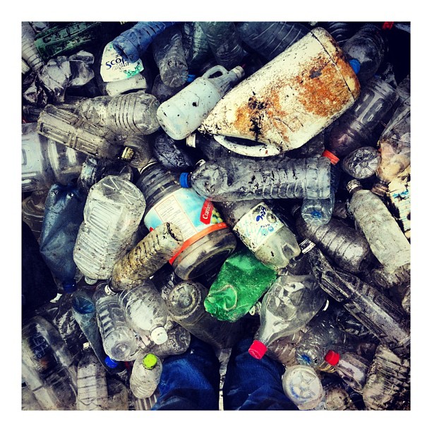 litterati-05