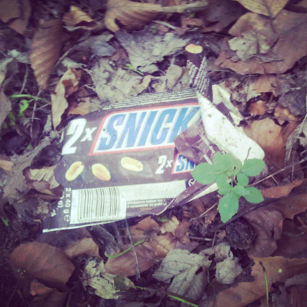 litterati-06