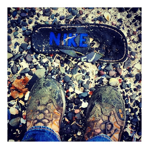 litterati-09