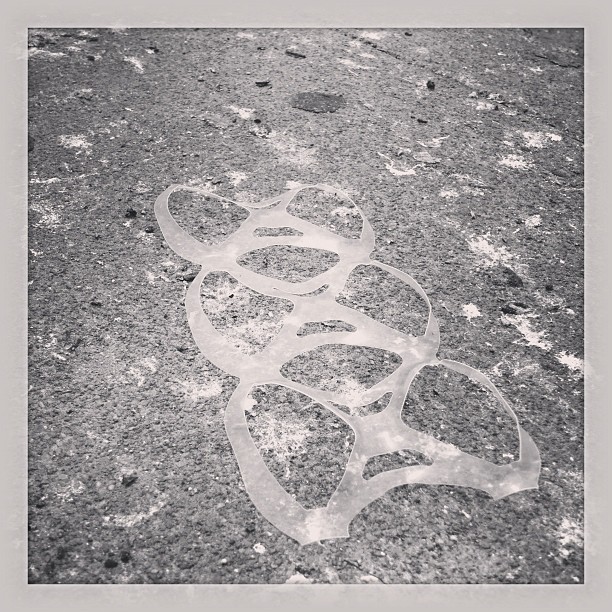 litterati-12