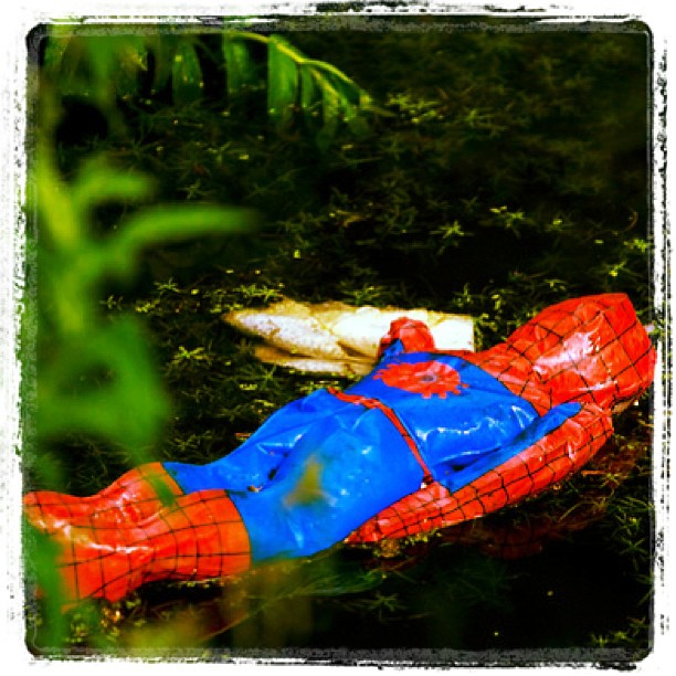 litterati-13