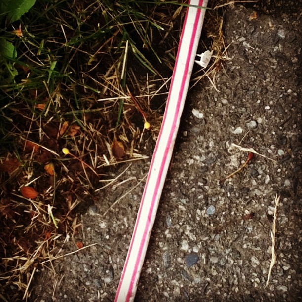 litterati-14