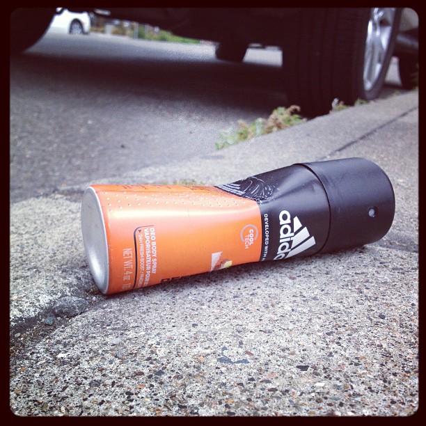 litterati-15