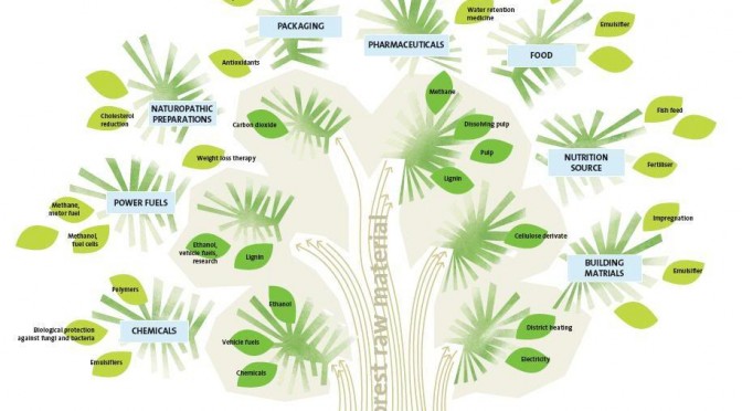 biopact_bioeconomy_forests_EU