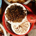 Insecten, exquise bron van eiwitten met imagoprobleem