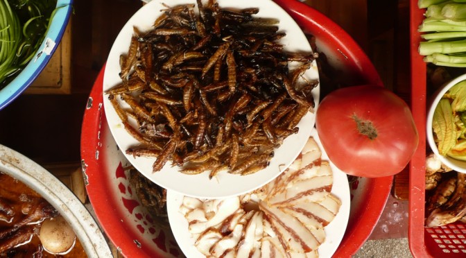 © Insects on the menu, Gideon, Flickr, http://www.flickr.com/photos/malias/2830070195/