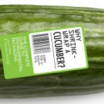 Plastic afval, plastic wereld